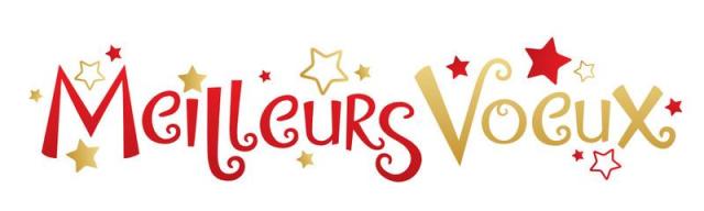 voeux-800x240